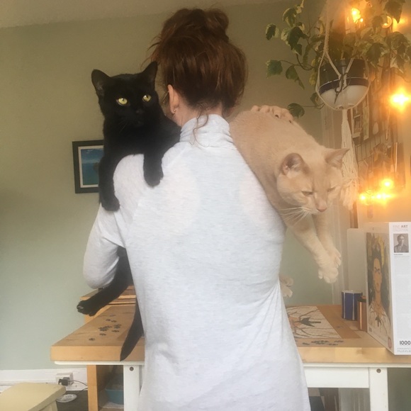 Meet your Posher, Tara - Picture 14 of 16